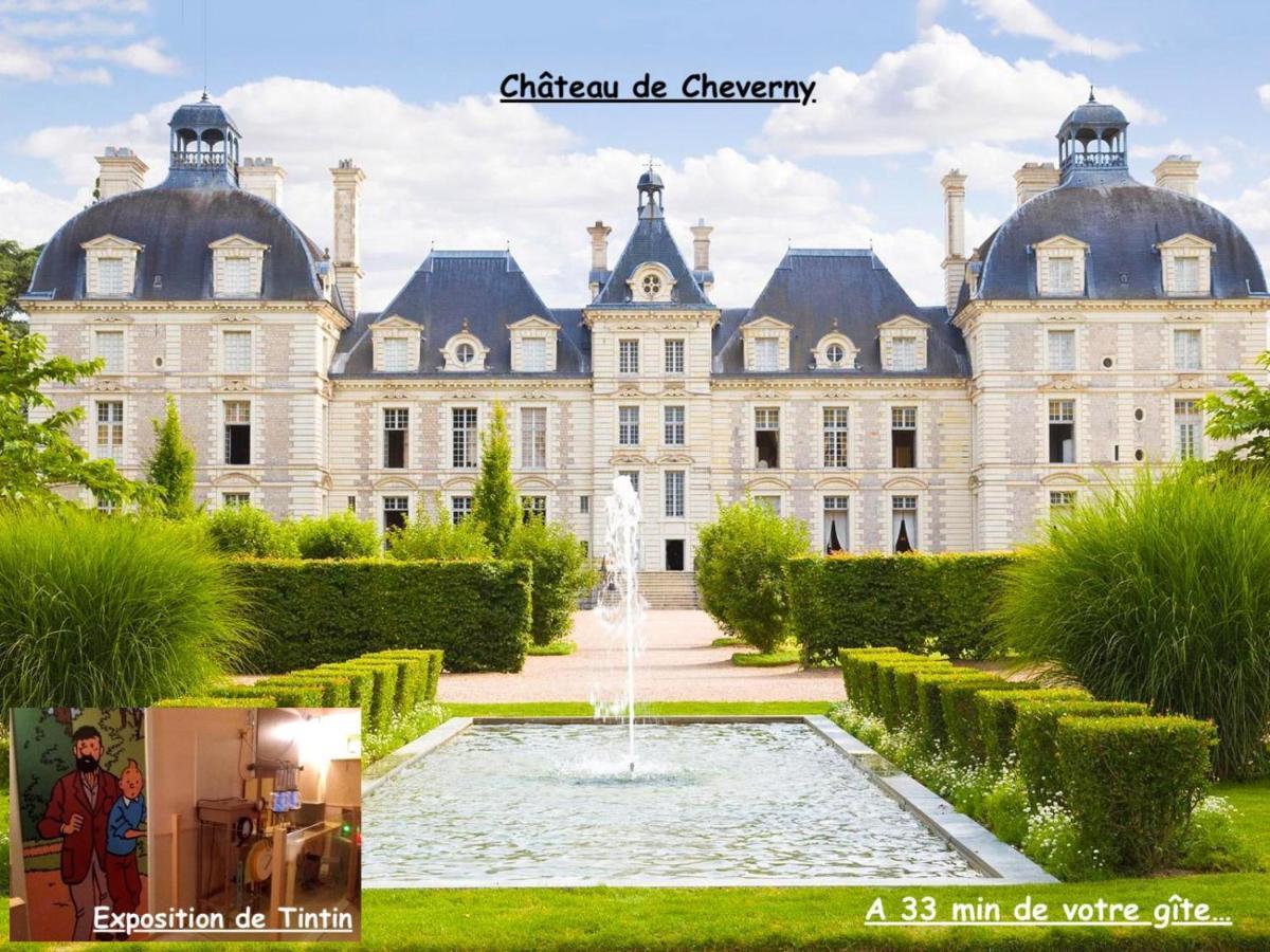 La Porte Aux Dames Romorantin-Lanthenay المظهر الخارجي الصورة